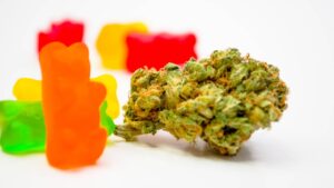 cbd gummies review