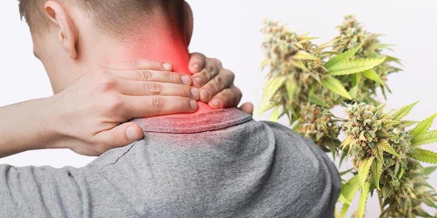 cbd oil for inflammation